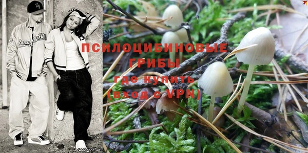 мяу мяу мука Бородино