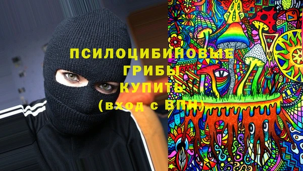 мяу мяу мука Бородино