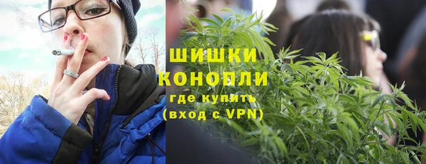 мяу мяу мука Бородино