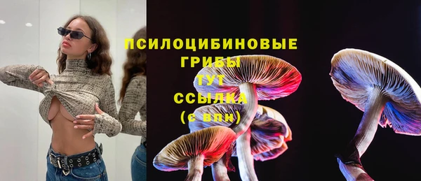 мяу мяу мука Бородино