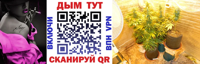 blacksprut как зайти  Барнаул  Каннабис планчик 